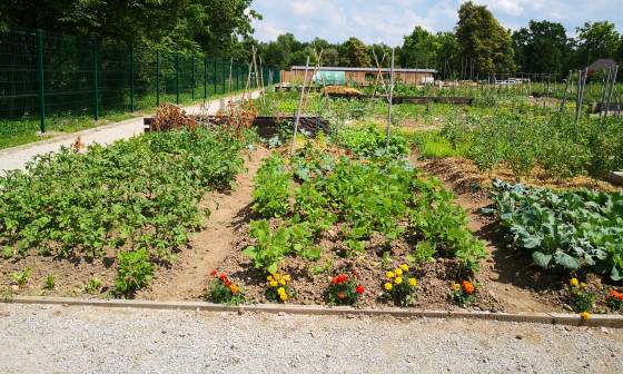 urejeni vrtički na območju Vižmarje Brod