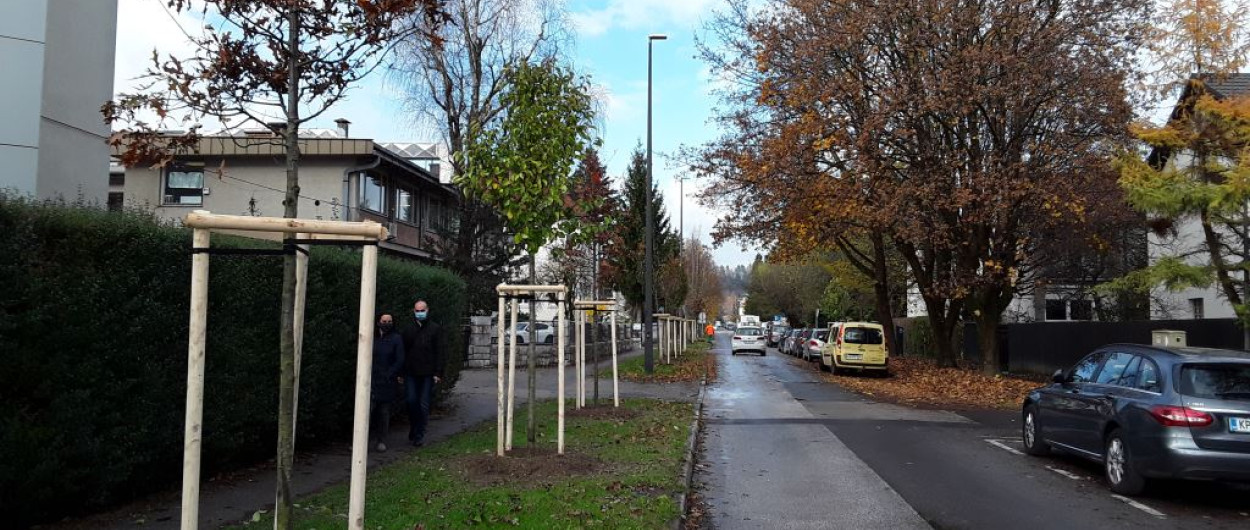 Foto arhiv JP Voka Snaga