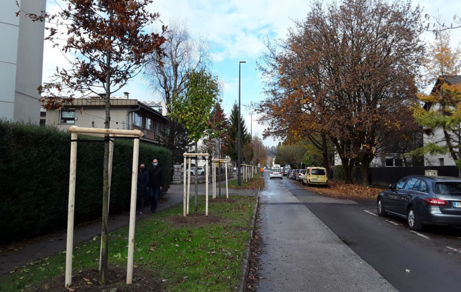 Foto arhiv JP Voka Snaga