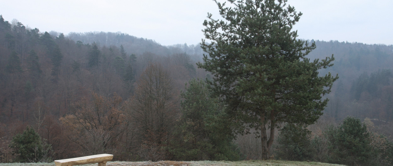 Foto: N. Rovan