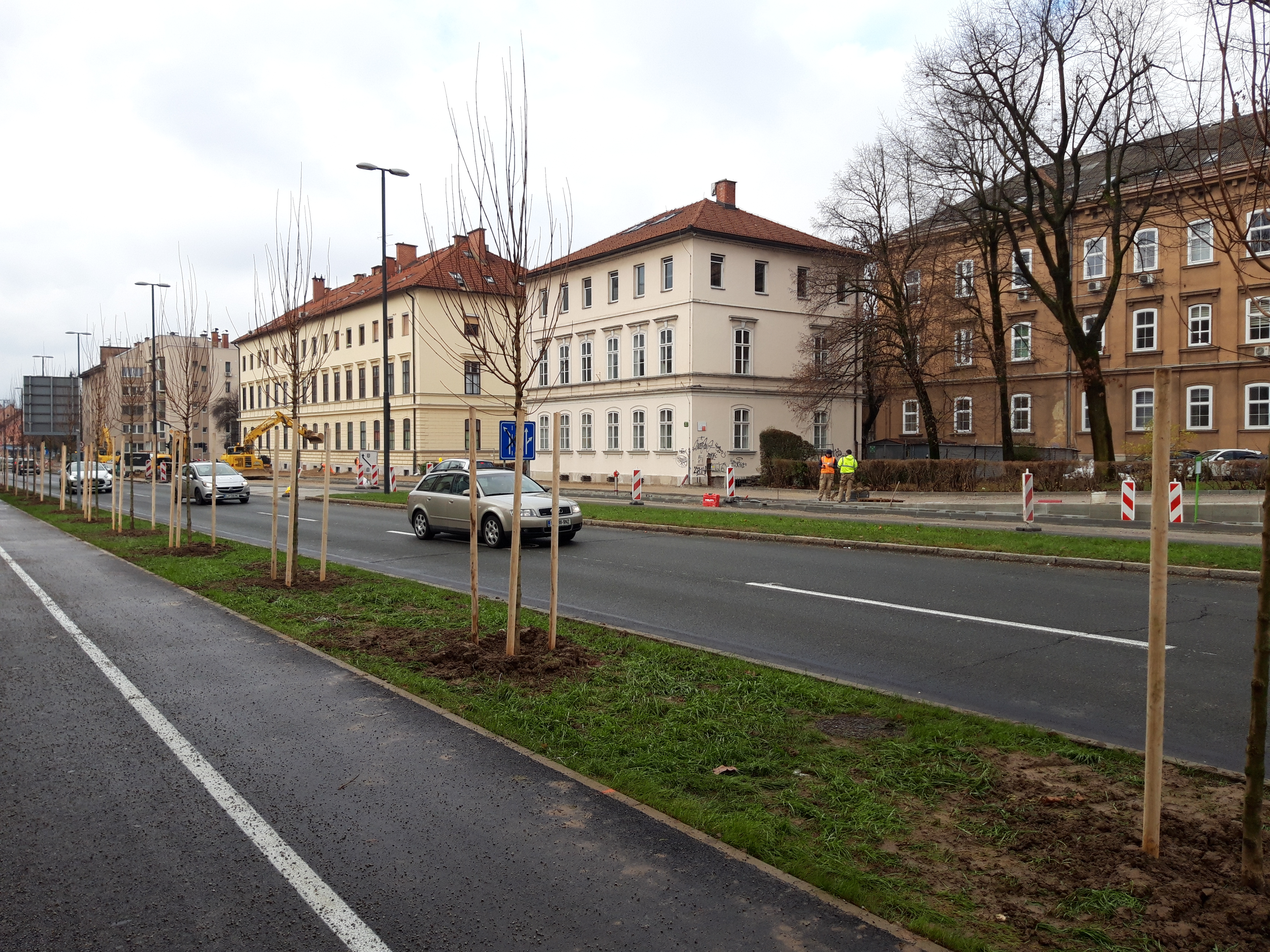20201210 drevesa Trzaska Vita Kontic Bezjak 4