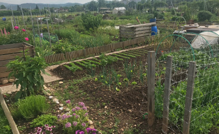 Vrtički na Ježici. Foto: M. Dizdarević, arhiv MOL