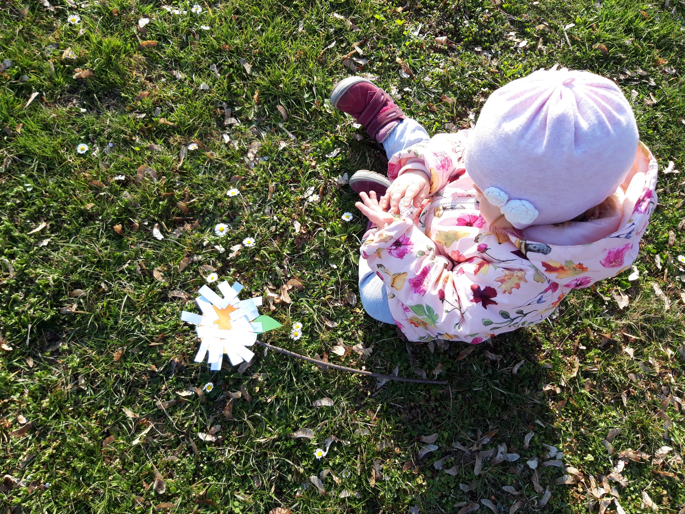 20210325 161610 resized