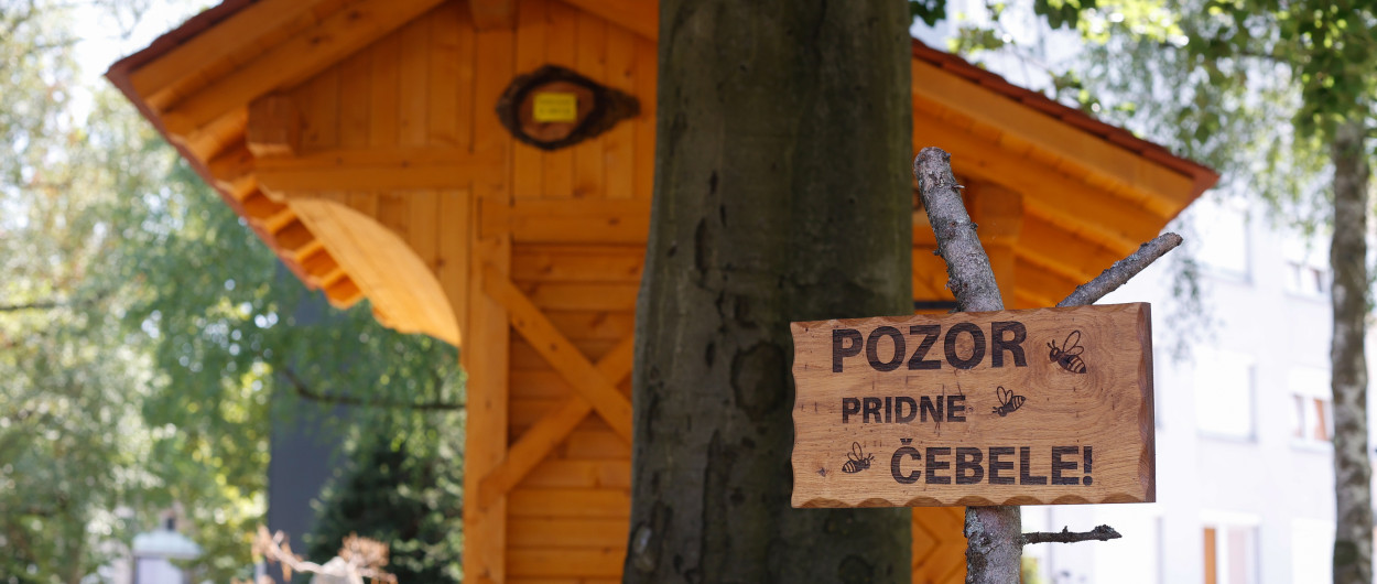 čebelnjak pri Gasilski brigadi Ljubljana 