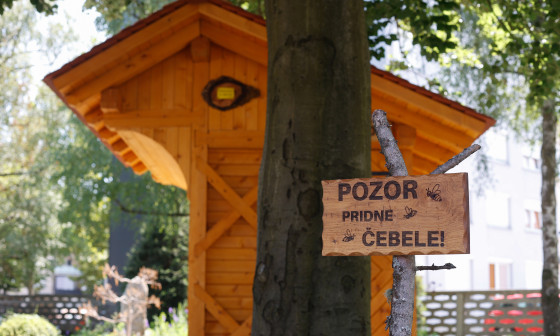 čebelnjak pri Gasilski brigadi Ljubljana 