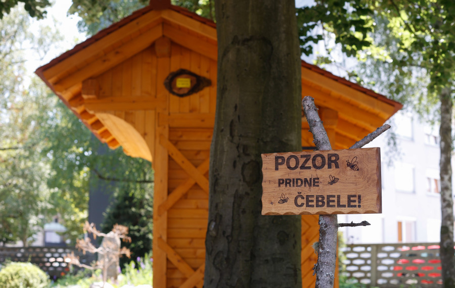 čebelnjak pri Gasilski brigadi Ljubljana 