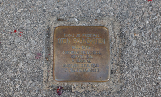 spotikavec na Vegovi ulici