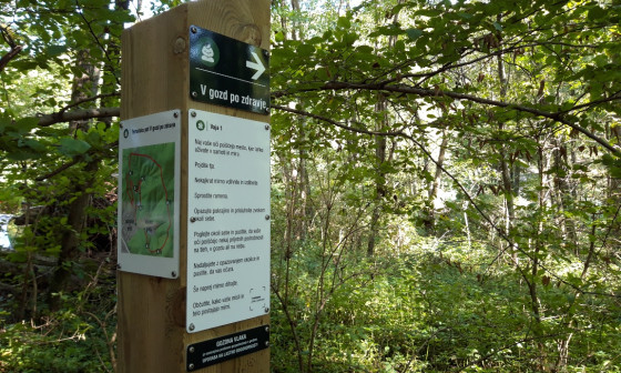 tabla, ki usmerja na tematsko pot