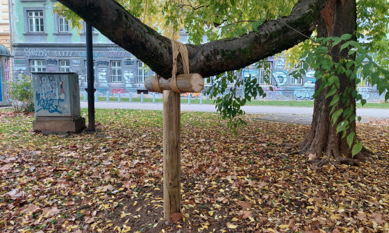 podprta veja drevesa