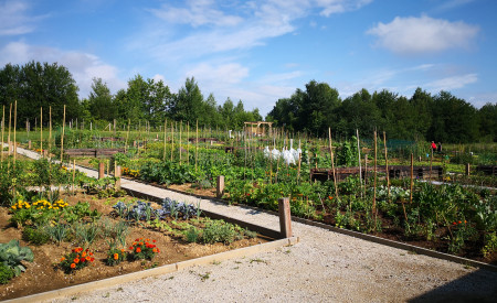 Vrtički na Grbi. Foto: H. Regina