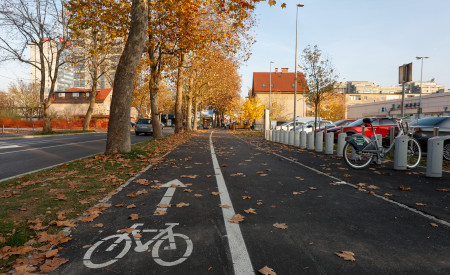 20211111 ulica bezigrad nrovan 007