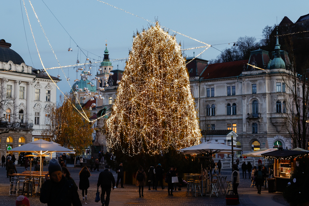 20211129 praznicna osvetlitev nrovan 004