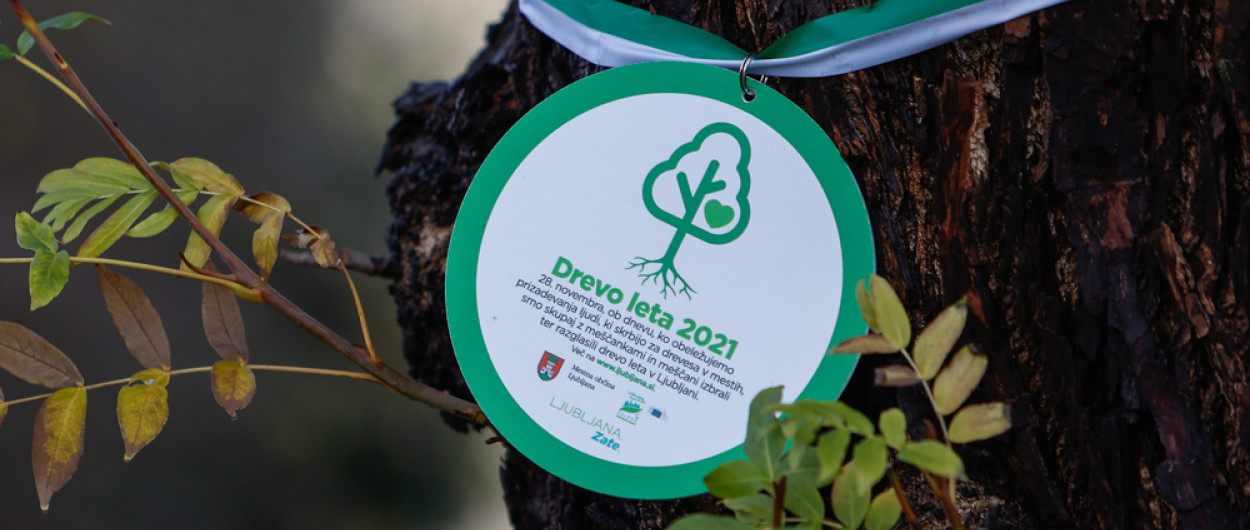 priznanje, obešeno na drevo leta 2021