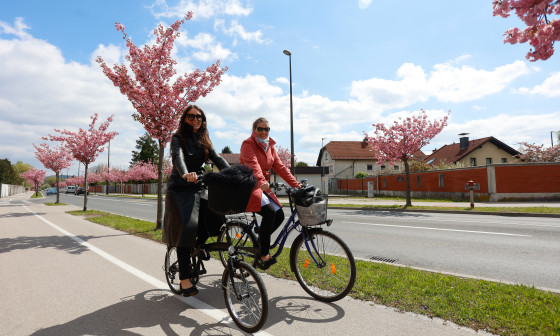 kolesarki na kolesarski stezi