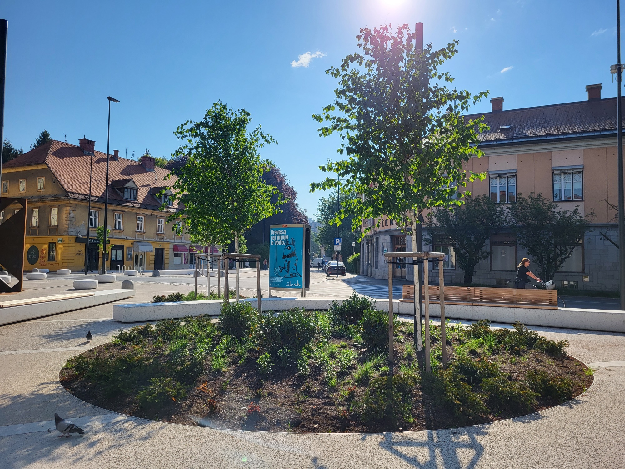 20220511 ozelenitev Trg MDB Vita Kontic Bezjak