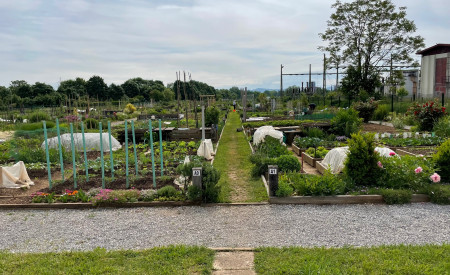 Vrtički ob Vojkovi. Foto: M. Dizdarević