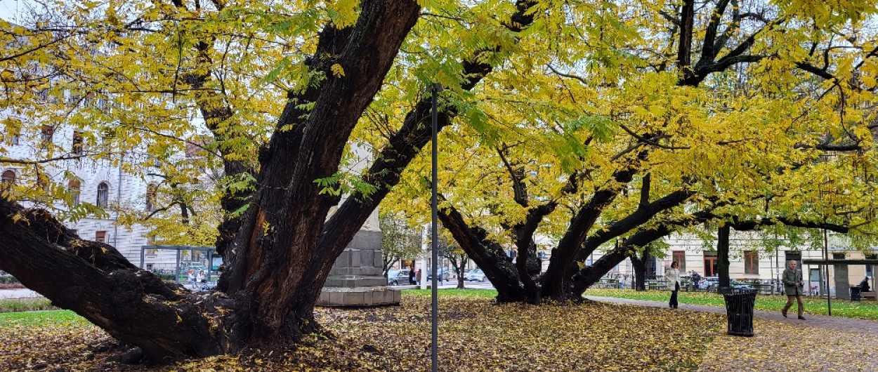 Miklosicev park