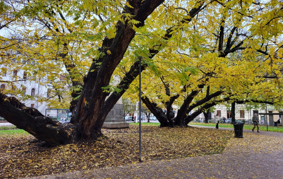 Miklosicev park 