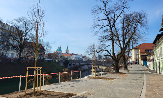 Petkovskovo nabrezje 