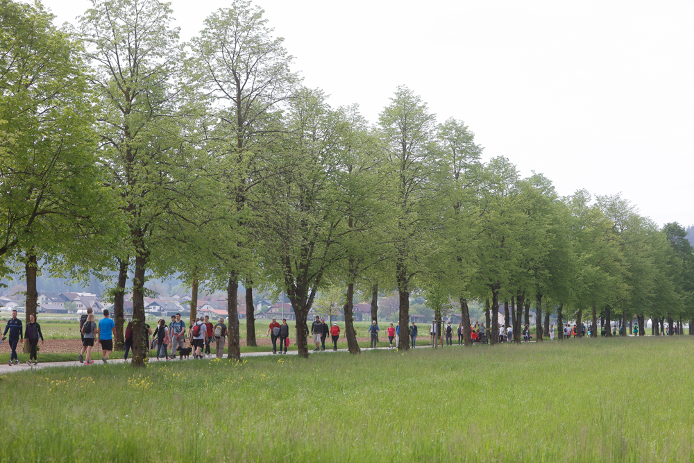 20230506 pohod po poti ob zici nrovan 012
