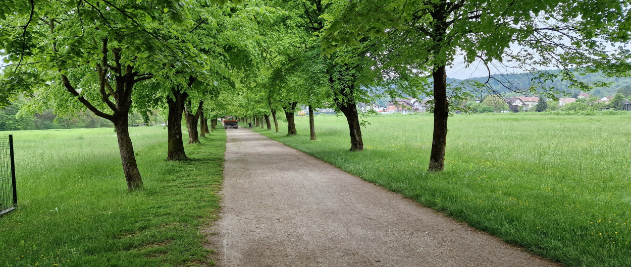 pot spominov in tovarištva