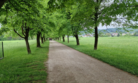 pot spominov in tovarištva