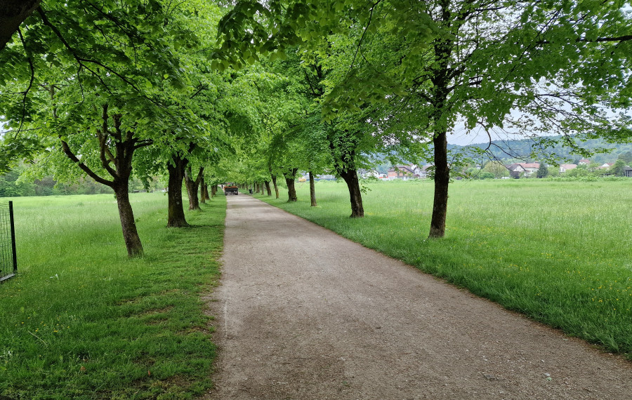 pot spominov in tovarištva