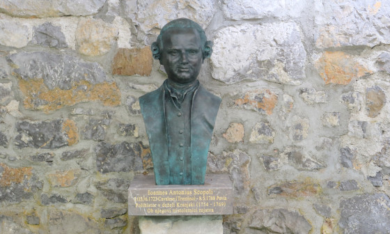 doprsni kip Janeza Antona Scopolija Foto: Biotehniska fakulteta