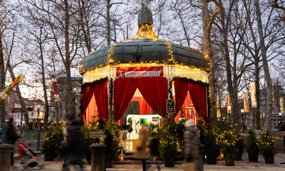 Čarobni gozd. Foto: Igor Sukur, Pionirski dom
