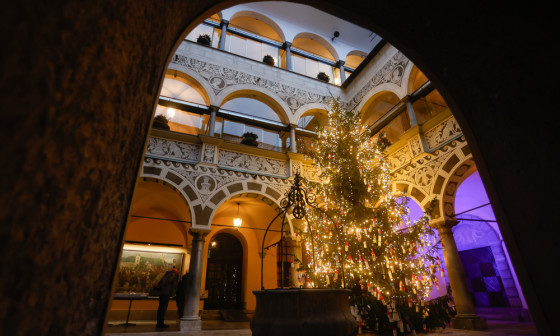 Jelka v atriju Mestne hiše. Foto: N. Rovan