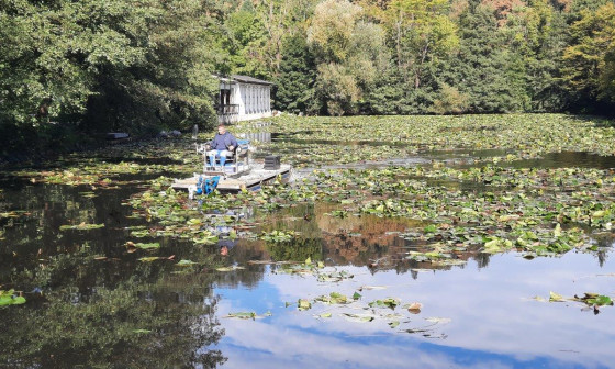 kosnja lokvanja 