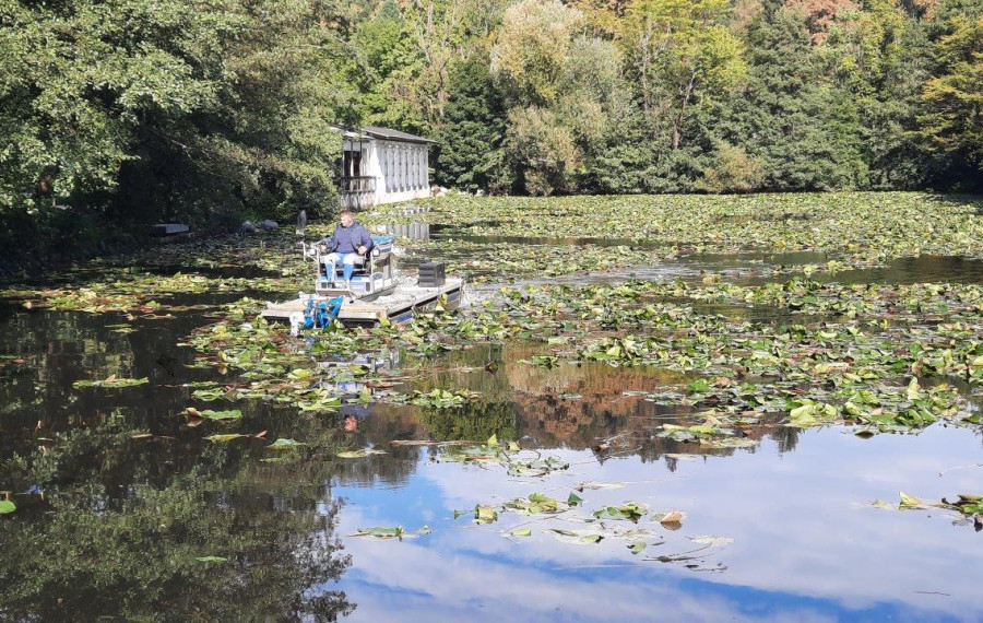 kosnja lokvanja 