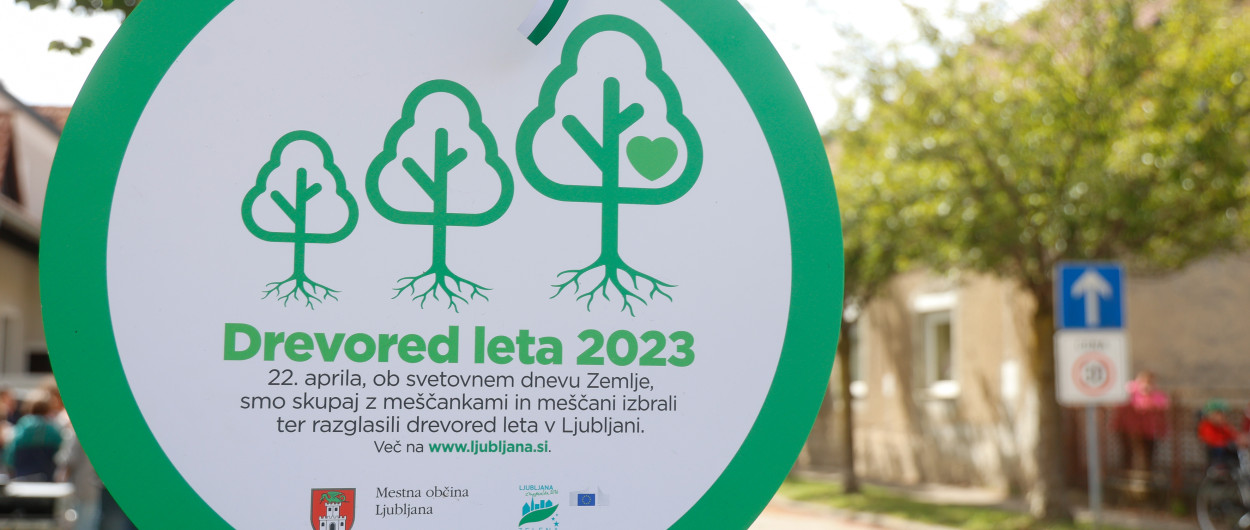 drevored leta 2023