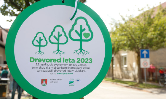  drevored leta 2023