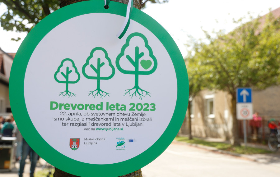  drevored leta 2023