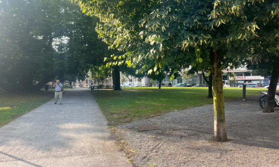 20240821 Deratizacija Miklosicev park vir ArhivMOL IMG 8225