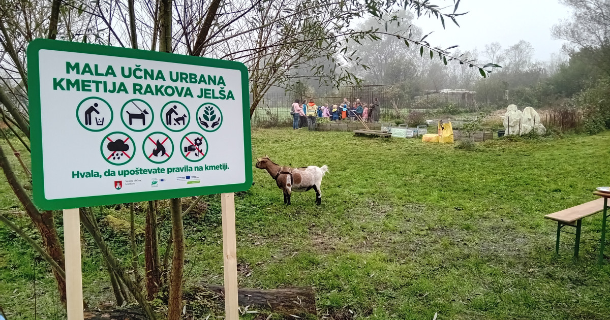 Bučni dan na vrtičkarskem območju Rakova jelša & Mestna občina Ljubljana