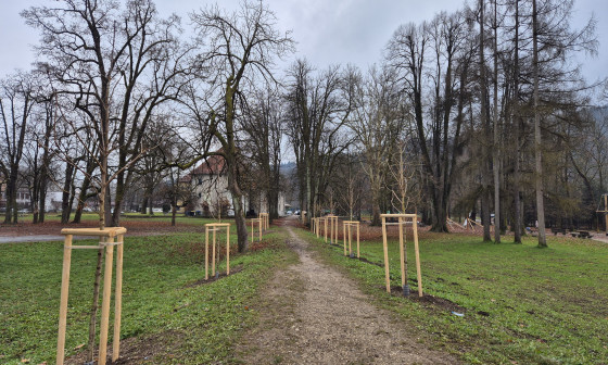 drevesa v parku Kodeljevo