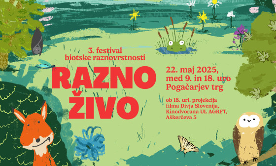 vabilo na festival