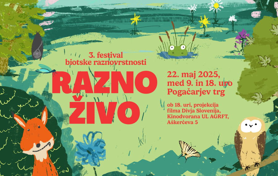 vabilo na festival