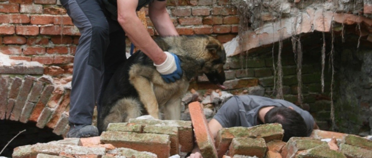 Vaja resevalnih psov 2025. Foto: arhiv MOL
