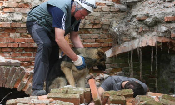 Vaja resevalnih psov 2025. Foto: arhiv MOL