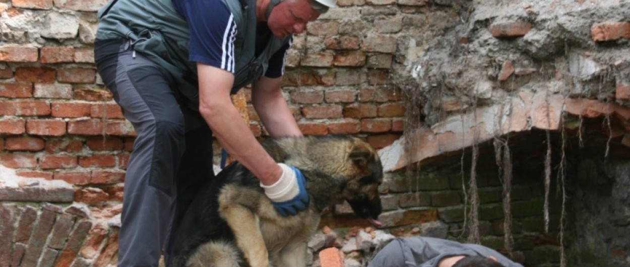 Vaja resevalnih psov 2025. Foto: arhiv MOL