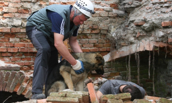 Vaja resevalnih psov 2025. Foto: arhiv MOL