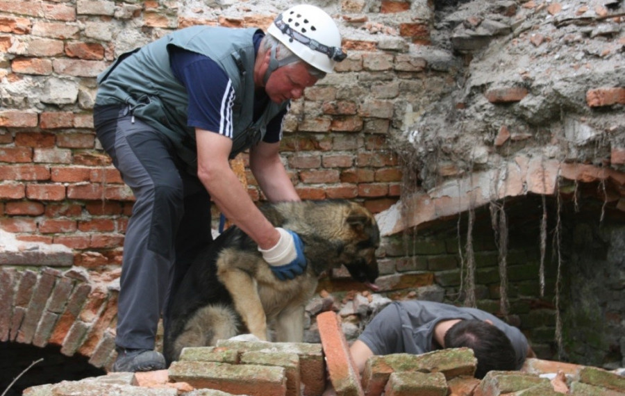 Vaja resevalnih psov 2025. Foto: arhiv MOL