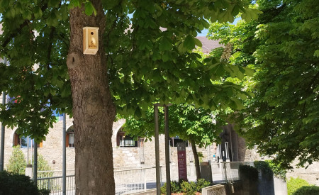Gnezdilnica za ptice pred Ljubljanskim gradom. Foto: arhiv MOL