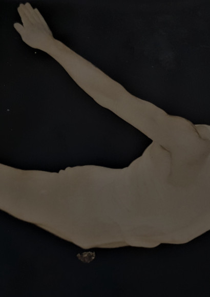 8 desetletij Miroslava Cerarja arhiv MC