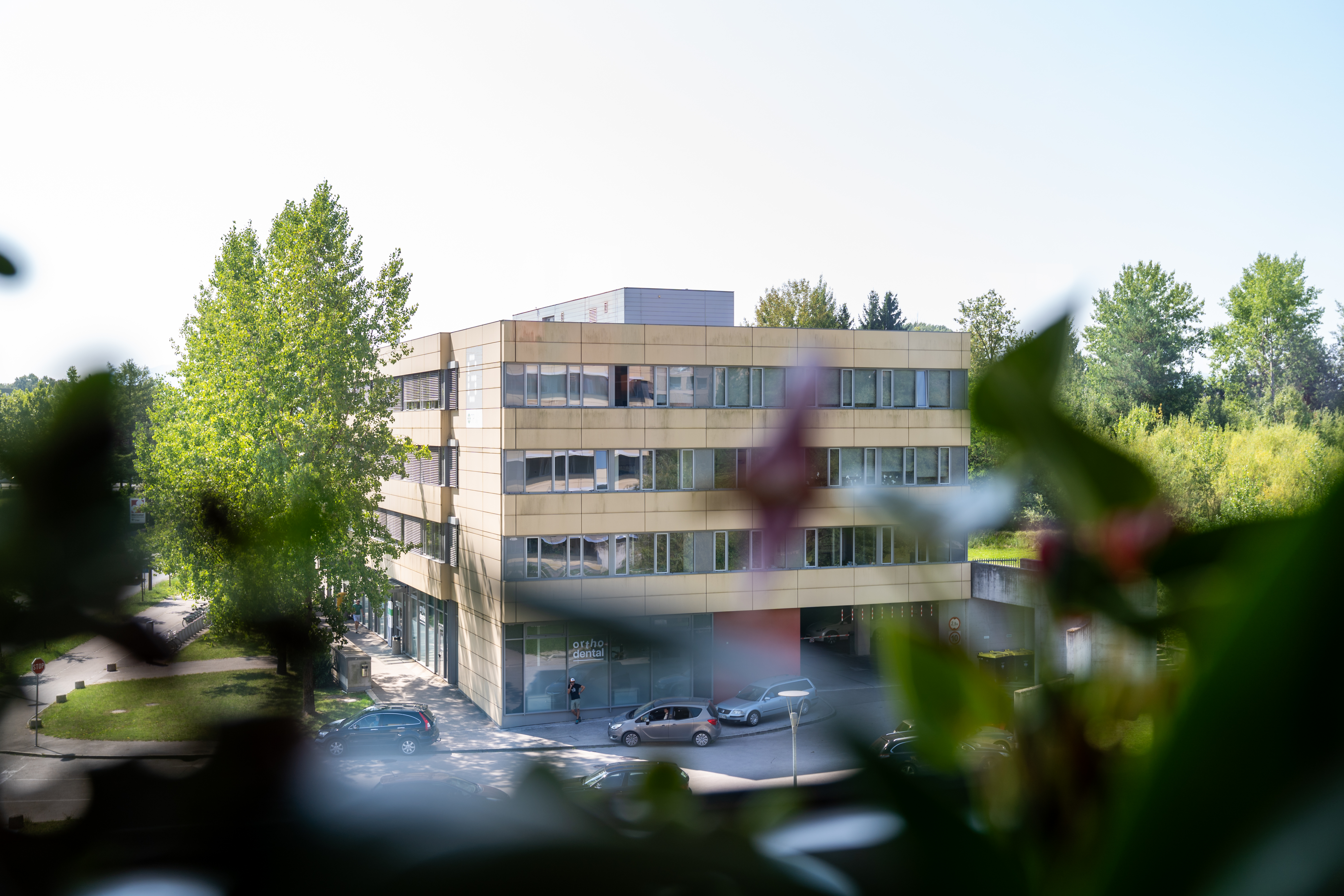 AM105913