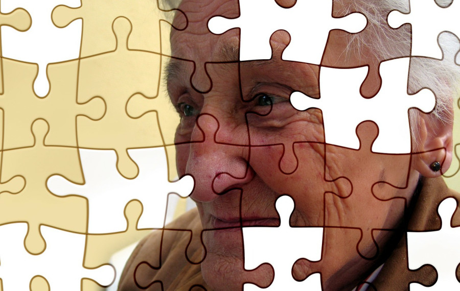 Alzheimer demenca vir Pixabay2