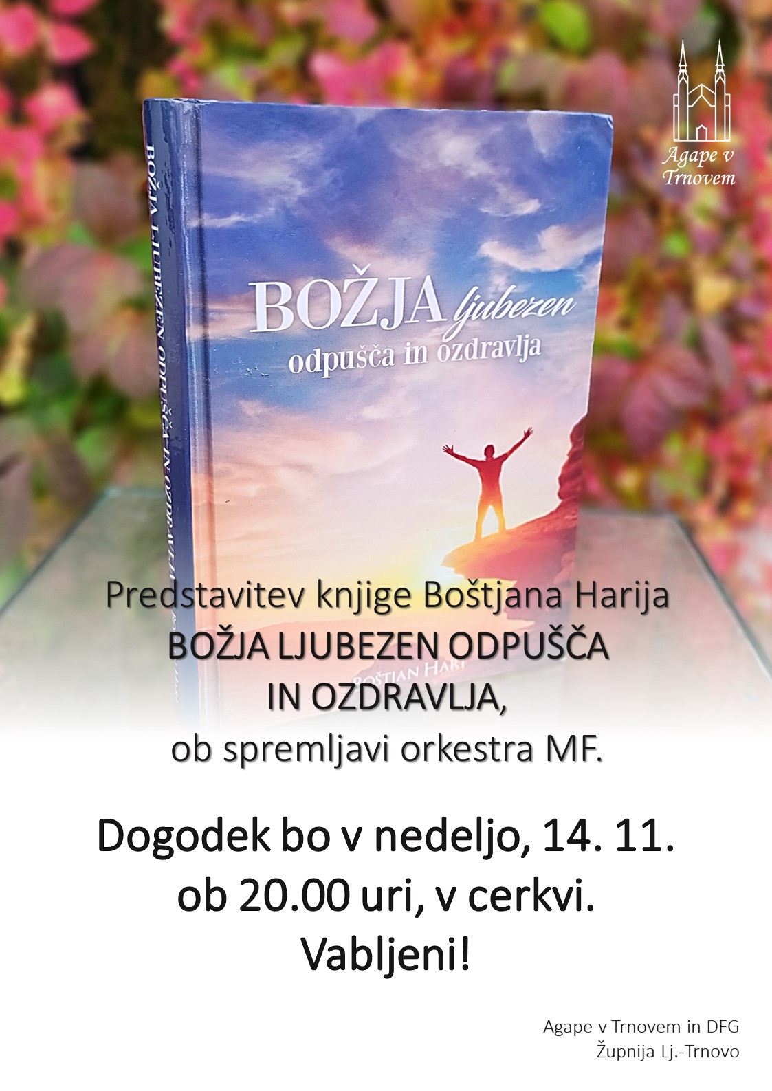 BOZJA LJUBEZEN ODPUSCA IN OZDRAVLJA Bostjan Hari VABILO